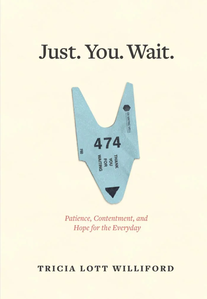 Just-You-Wait-COVER-resized